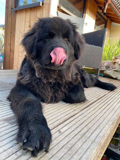 Fotochallange Nr. 57     PORTRÄT.   Beendet!!!!!!!!-Beitrag-Bild