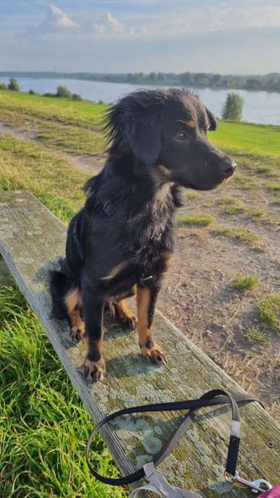 Wer hat noch einen Kokoni und mag sich darüber austauschen ?-Beitrag-Bild