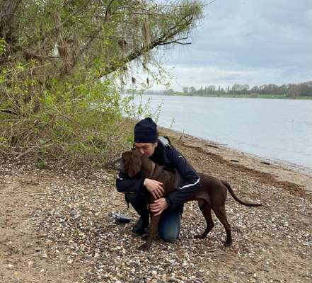 Hundetreffen-Moers: nette Abendrunde 22 Uhr am Park Moers / Treffpunkt Kastellplatz- Labbi MIX freut sich :)-Bild