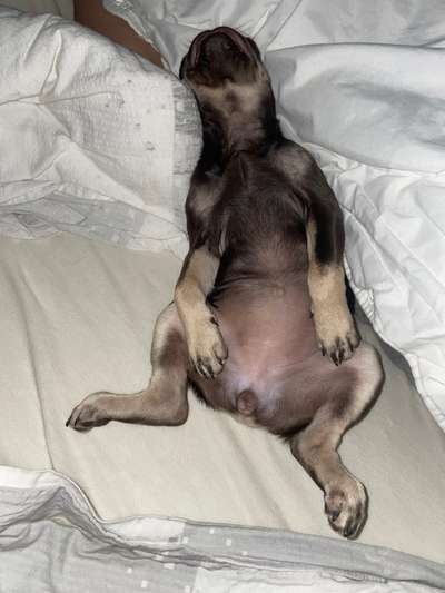 Die unbequemsten und lustigsten Schlafpositionen-Beitrag-Bild