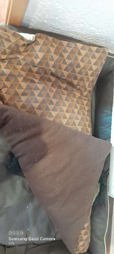 Upcycling - aus Alt mach Neu-Beitrag-Bild