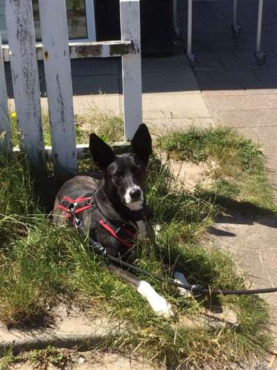 Theos  Fotochallenge Nummer 2-Beitrag-Bild