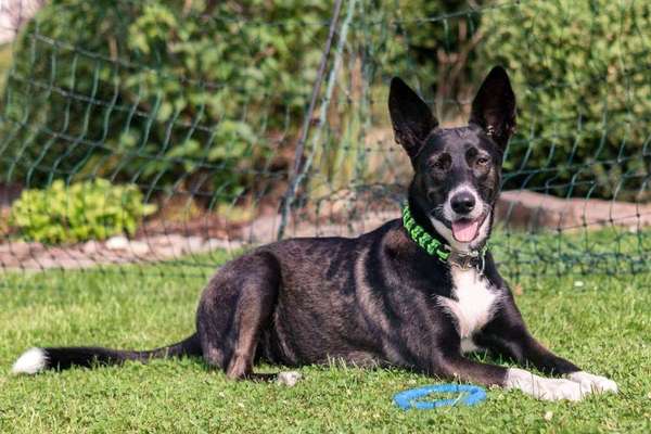 Erstes Bild-Beitrag-Bild