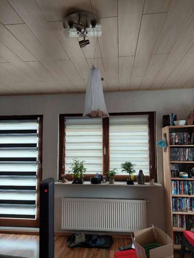 Heute gibt es.....der "ich mach die Leckerlis-Selber-Thread"-Beitrag-Bild