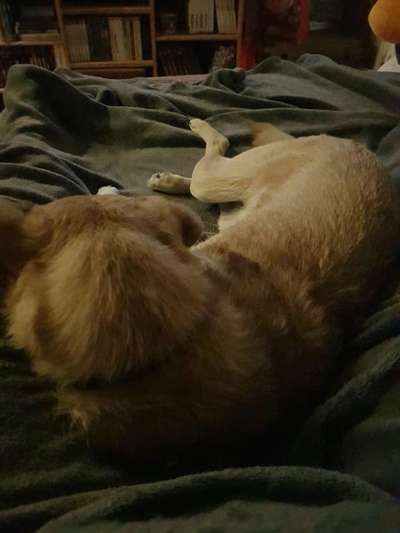 Erfolgsgeschichten gesucht-Beitrag-Bild