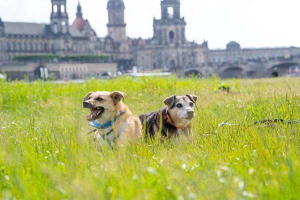 Pullis, Jacken, Hütte und alles sonstiges-Beitrag-Bild