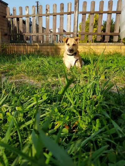 Fotochallange Nr. 57     PORTRÄT.   Beendet!!!!!!!!-Beitrag-Bild