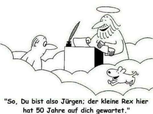 Hunde Memes-Beitrag-Bild