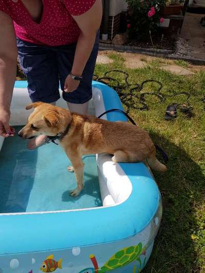 FOTOCHALLANGE NR.71 BADEFREUDE-Beitrag-Bild