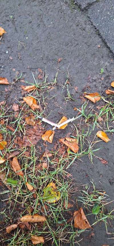 Giftköder-Benutzte Spritzen-Bild