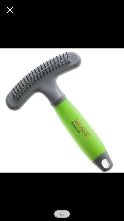 Samojede-Beitrag-Bild