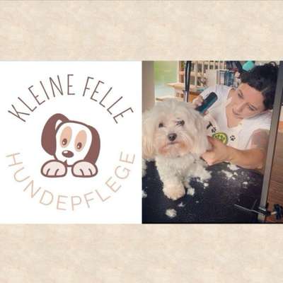 %{de_profession_title}-Mobile Hundepflege-Bild