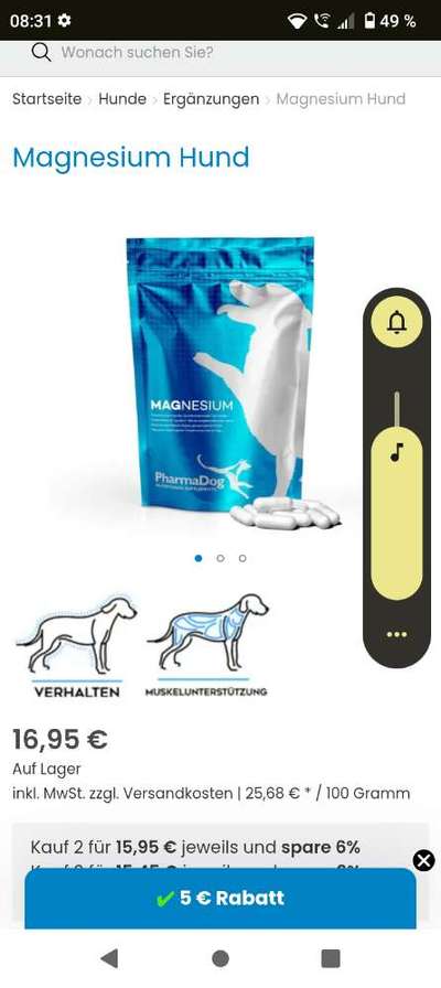 Suche reines Magnesium-Beitrag-Bild