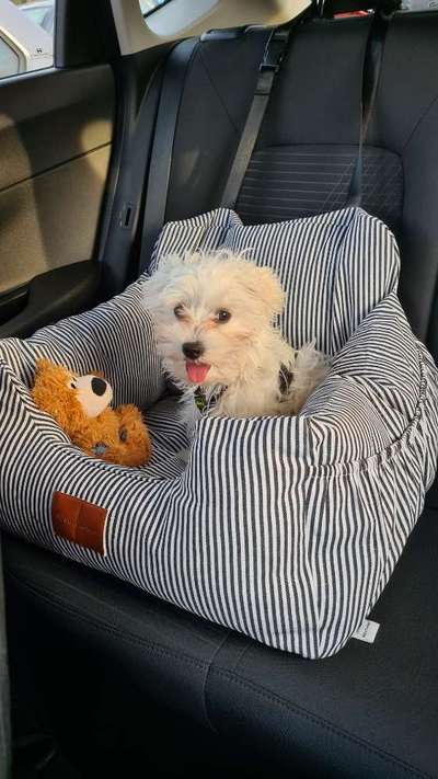 Malteser-Beitrag-Bild