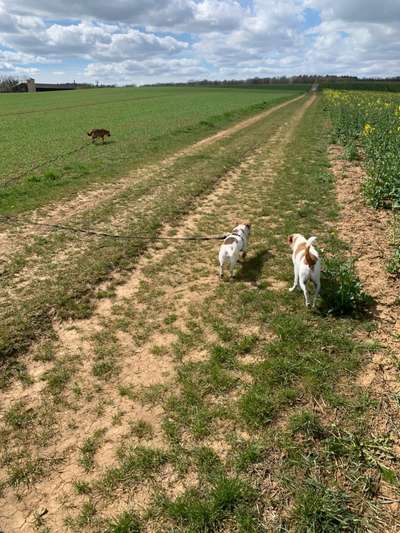 Fotowettbewerb Natur-Beitrag-Bild