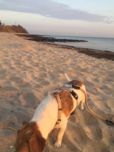 Eure Strandbilder :)-Beitrag-Bild