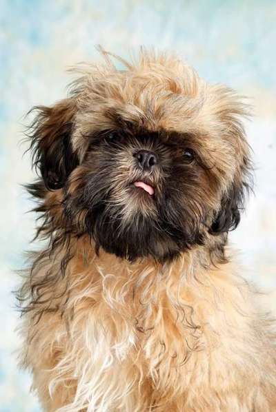 Fotochallange Nr. 57     PORTRÄT.   Beendet!!!!!!!!-Beitrag-Bild