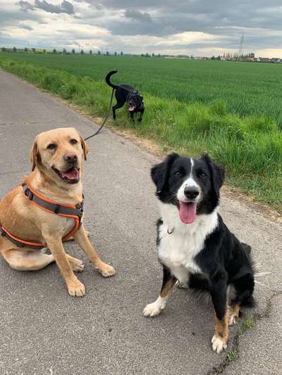 Immer lächeln !-Beitrag-Bild