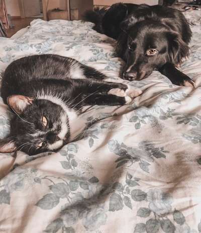 CHALLENGE Nr.17-Beitrag-Bild