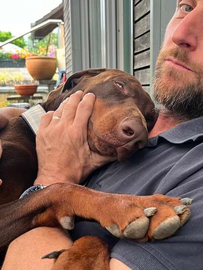 Dogorama Photo Challenge - Liebesbeweis-Beitrag-Bild