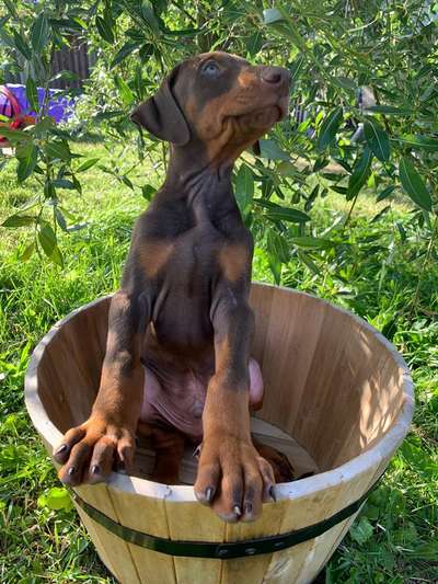 121. Fotochallenge-Beitrag-Bild