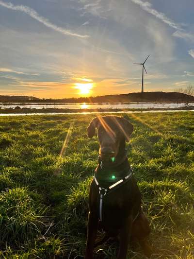 Farben Fotochallenge Sonnenlicht-Beitrag-Bild