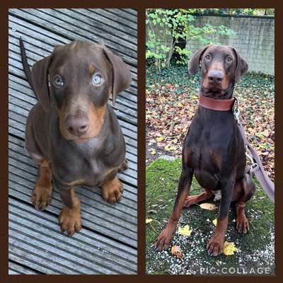 28. Handy-Fotochallenge - Damals und heute-Beitrag-Bild