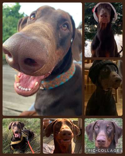 Fotocollage-Beitrag-Bild