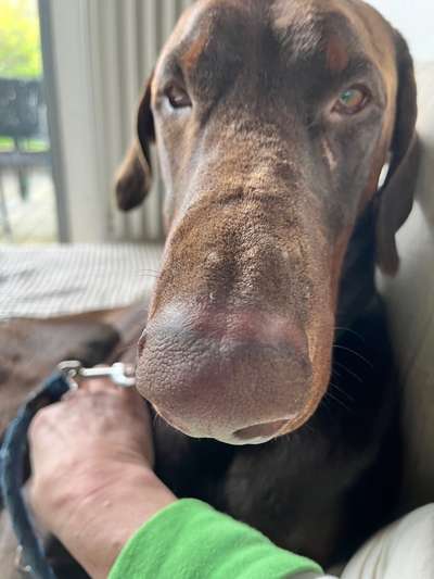 20. Handy -Foto-Callenge-Beitrag-Bild