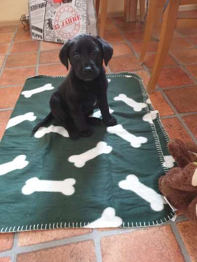 Lieblingsbild :D-Beitrag-Bild