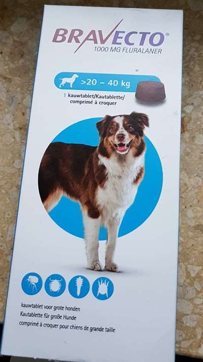 Floh und Zeckenmittel-Beitrag-Bild