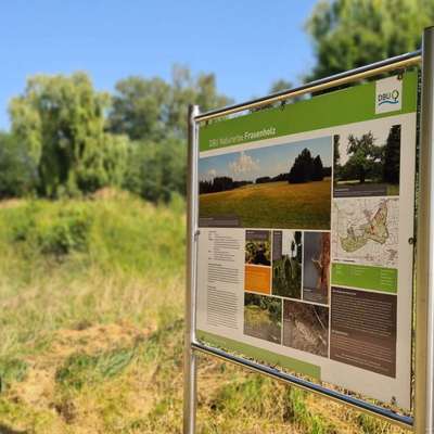 Hundetreffen-Privater Social Walk | Hundebegegnungen üben-Bild