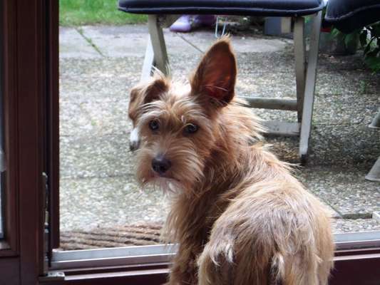 Sie werden so schnell erwachsen ...-Beitrag-Bild