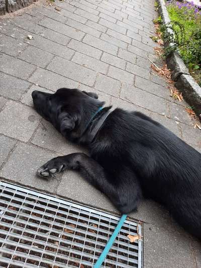 Kastration?-Beitrag-Bild