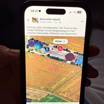 Giftköder-Giftköder-Bild