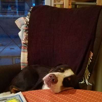 Die unbequemsten und lustigsten Schlafpositionen-Beitrag-Bild