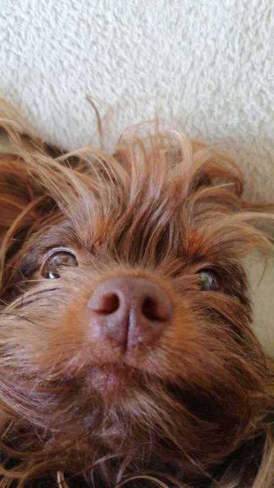 Fotochallange Nr. 57     PORTRÄT.   Beendet!!!!!!!!-Beitrag-Bild