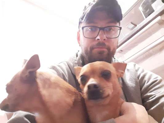 Wo sind die Chihuahua Besitzer ?-Beitrag-Bild