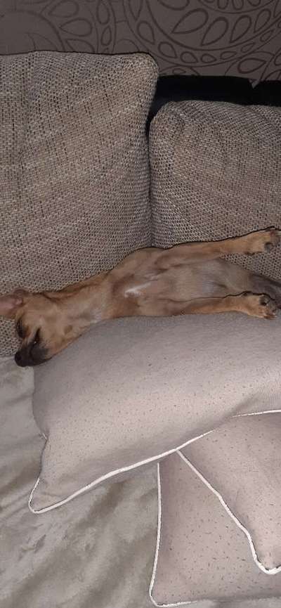 Die unbequemsten und lustigsten Schlafpositionen-Beitrag-Bild