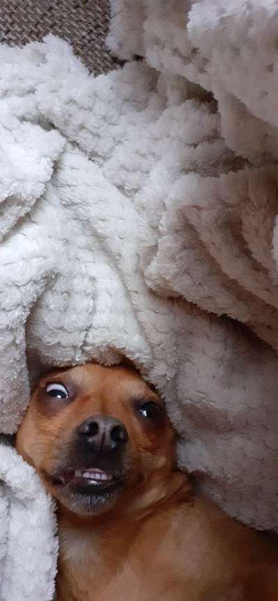 Die unbequemsten und lustigsten Schlafpositionen-Beitrag-Bild