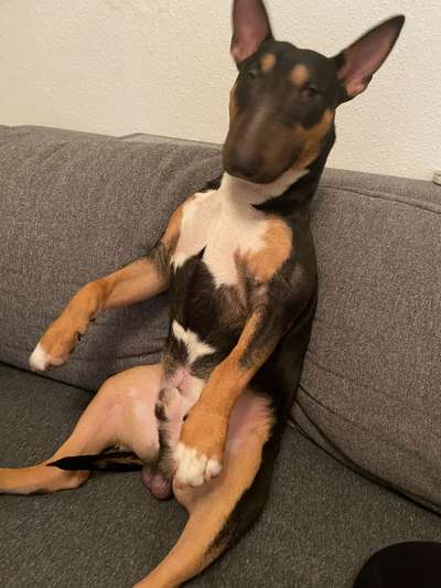 Lieblingsbild-Beitrag-Bild