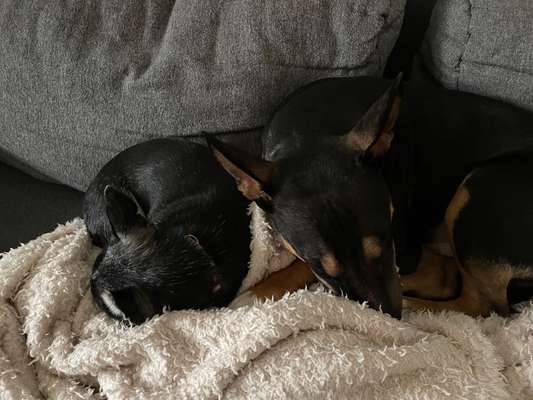 Lieblingsbild-Beitrag-Bild