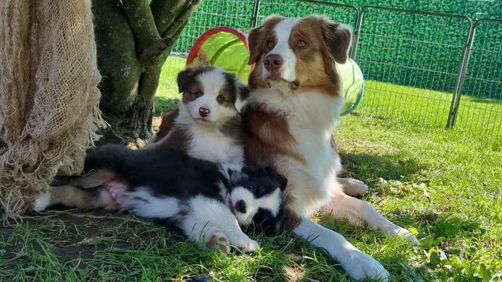 Fotochallange Nr. 57     PORTRÄT.   Beendet!!!!!!!!-Beitrag-Bild