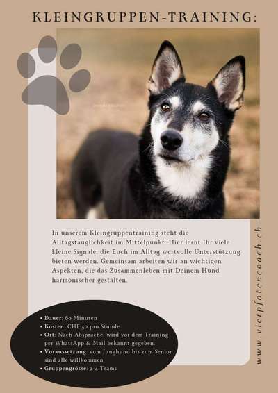 Giftköder-Kleingruppentraining-Bild