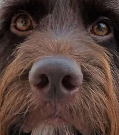 147. Foto Challenge: Bettelblick-Beitrag-Bild