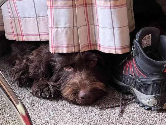 Zeigt eure Portraits-Beitrag-Bild