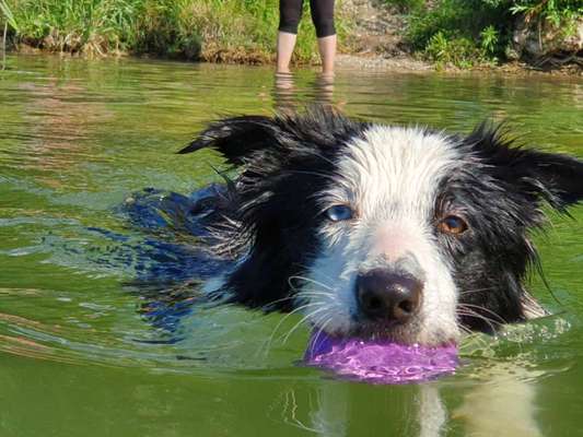Eure Strandbilder :)-Beitrag-Bild