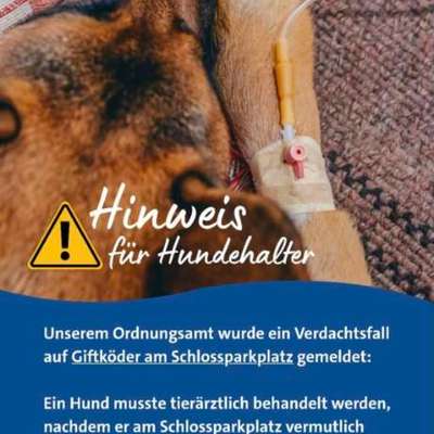 Giftköder-Mögliche Giftköder-Bild