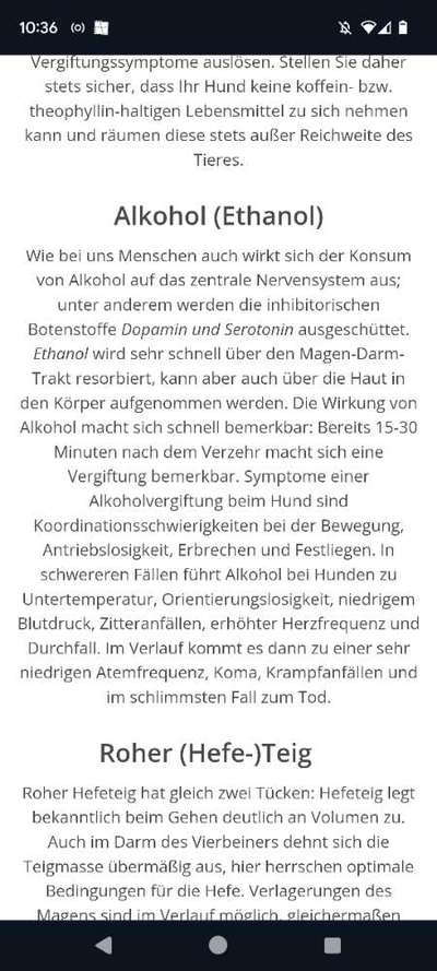 Silvester - Mittel zur Beruhigung-Beitrag-Bild