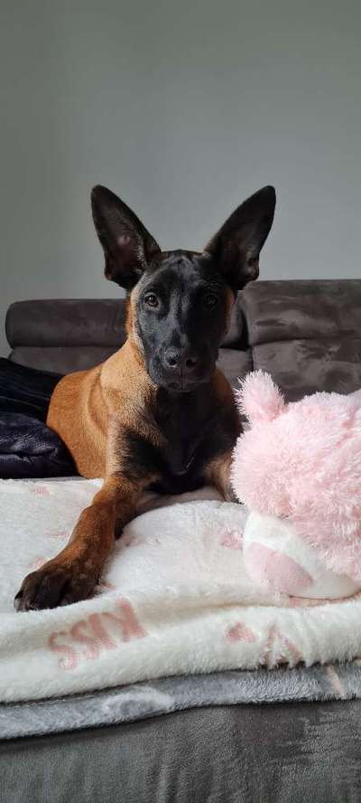 Fotochallange Nr. 57     PORTRÄT.   Beendet!!!!!!!!-Beitrag-Bild